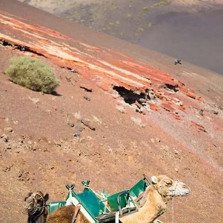 Pepe Playa Blanca (Lanzarote)